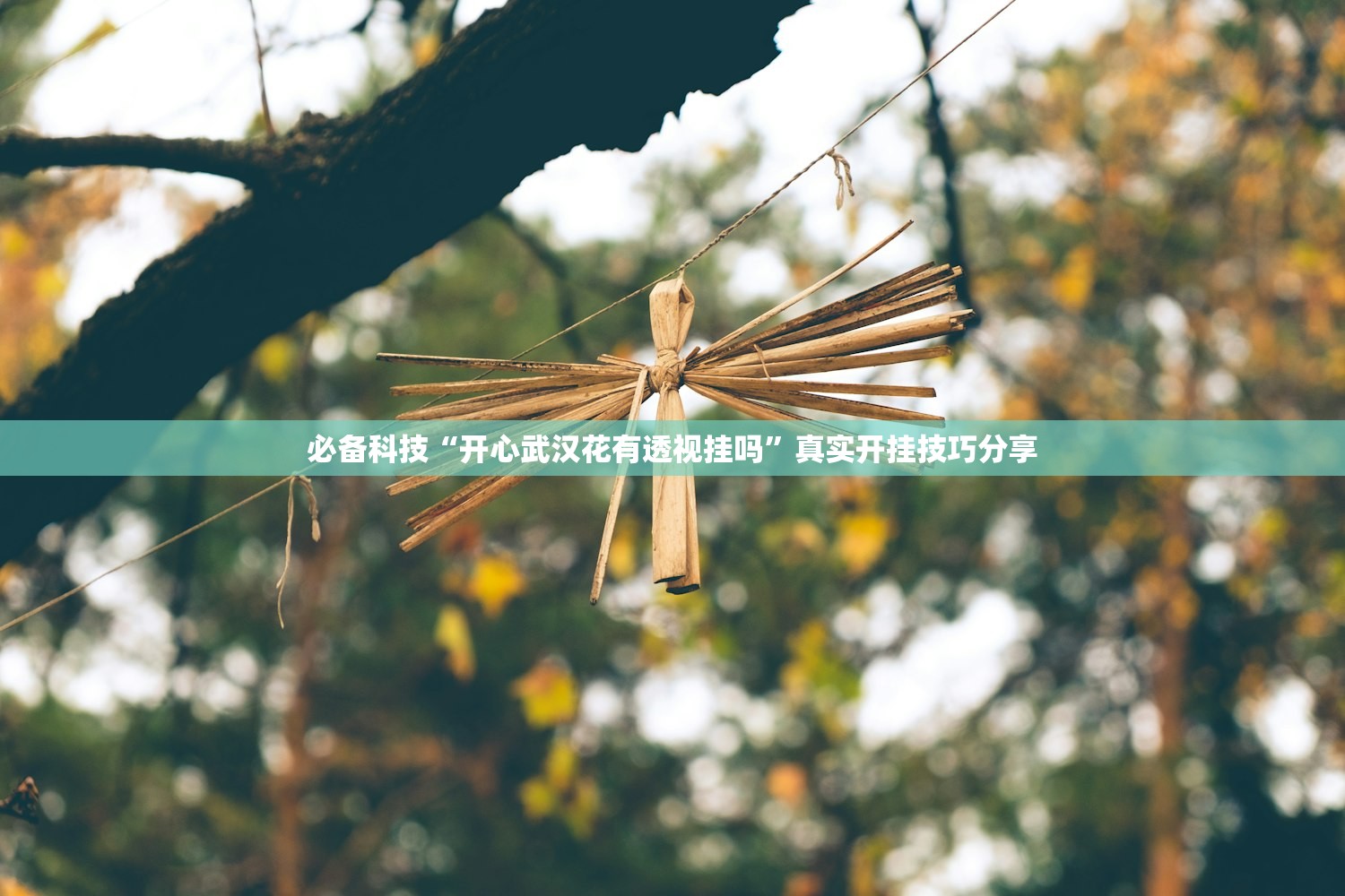 必备科技“开心武汉花有透视挂吗”真实开挂技巧分享
