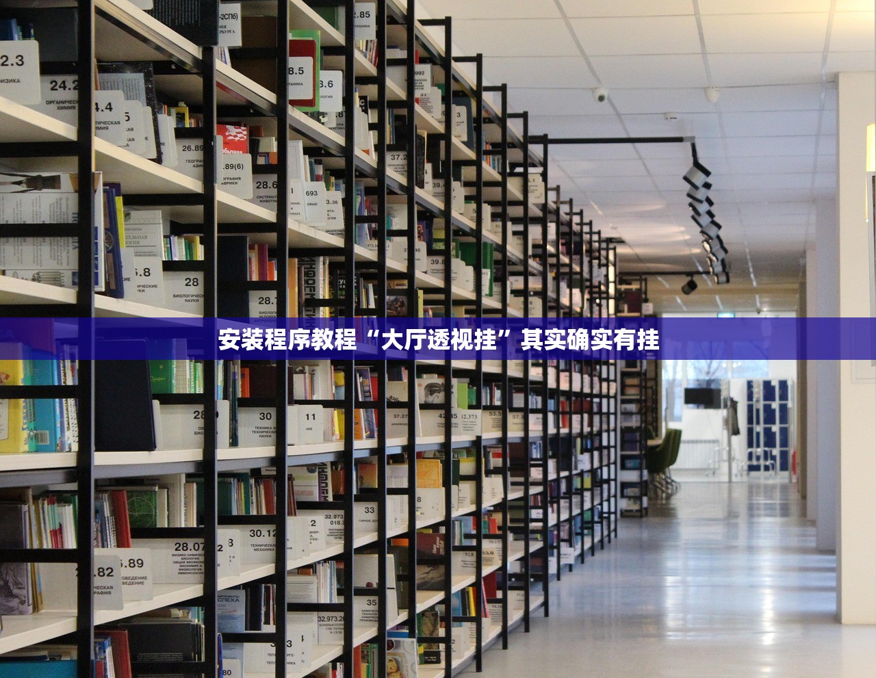 安装程序教程“大厅透视挂”其实确实有挂
