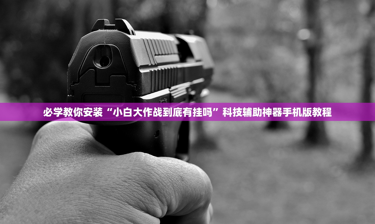 必学教你安装“小白大作战到底有挂吗”科技辅助神器手机版教程