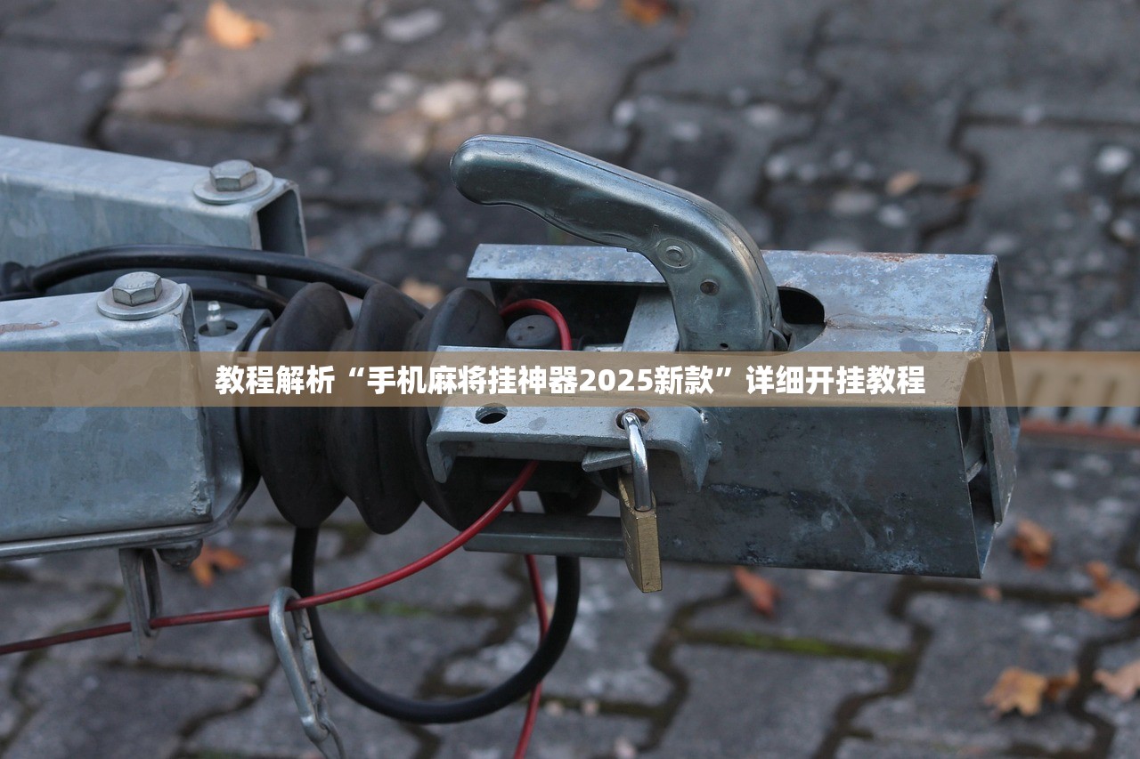 教程解析“手机麻将挂神器2025新款	”详细开挂教程