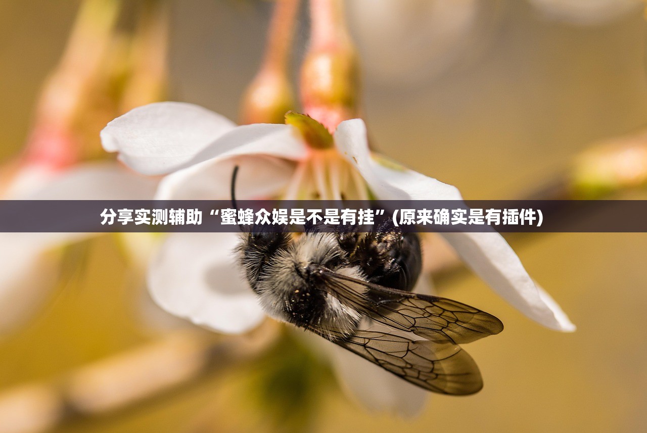 分享实测辅助“蜜蜂众娱是不是有挂	”(原来确实是有插件) 