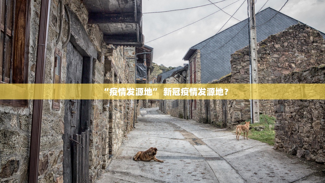 “疫情发源地	” 新冠疫情发源地？