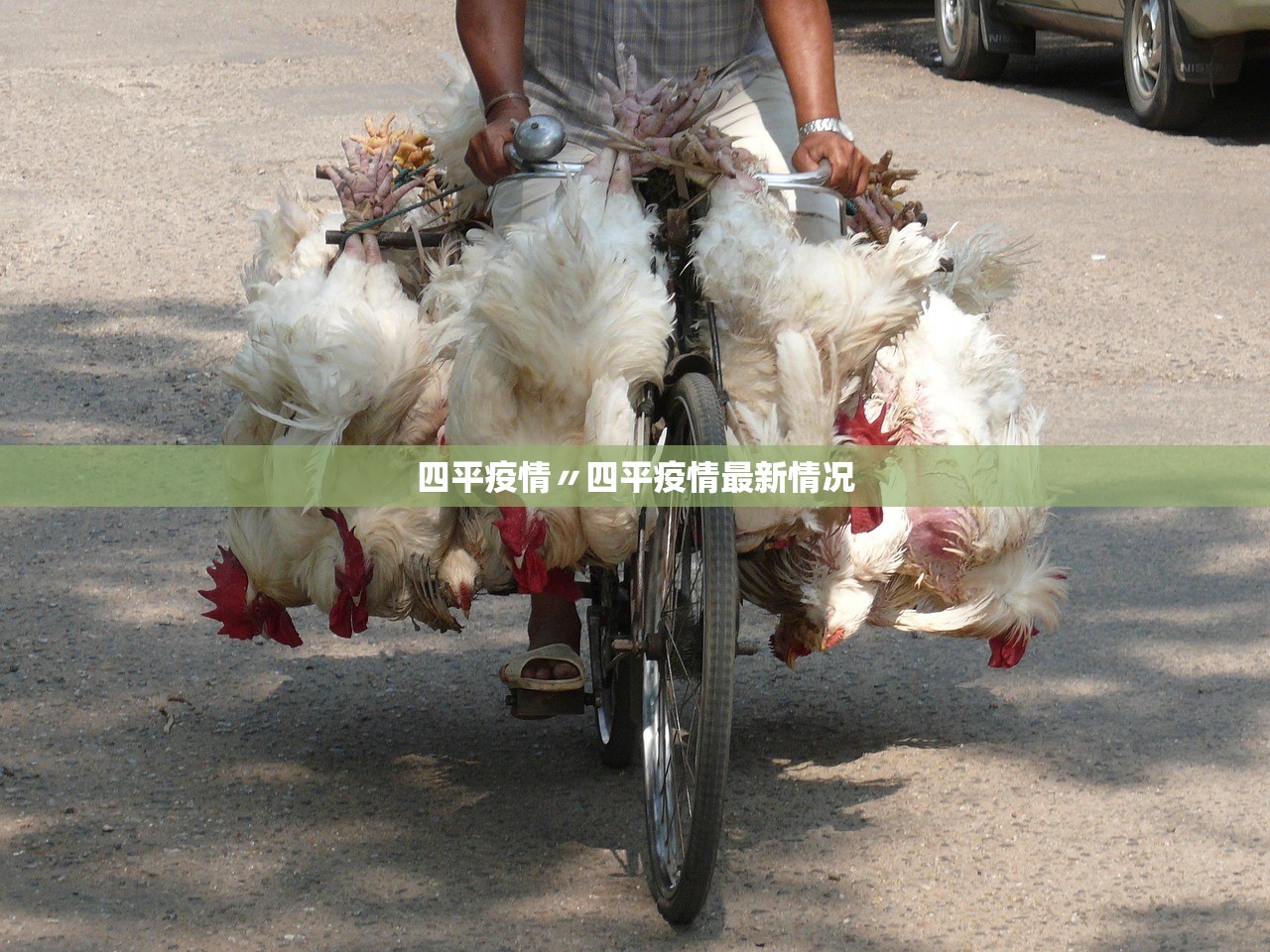 四平疫情〃四平疫情最新情况