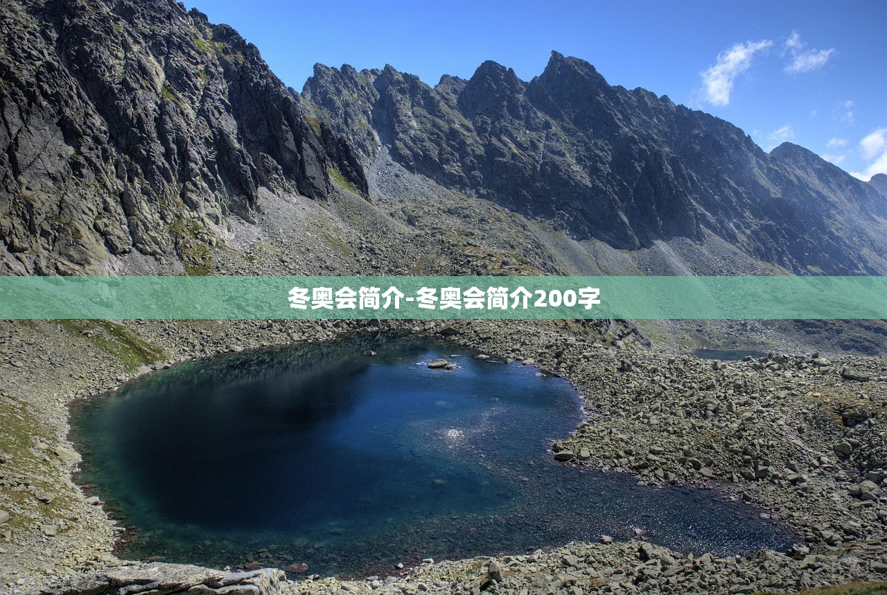冬奥会简介-冬奥会简介200字