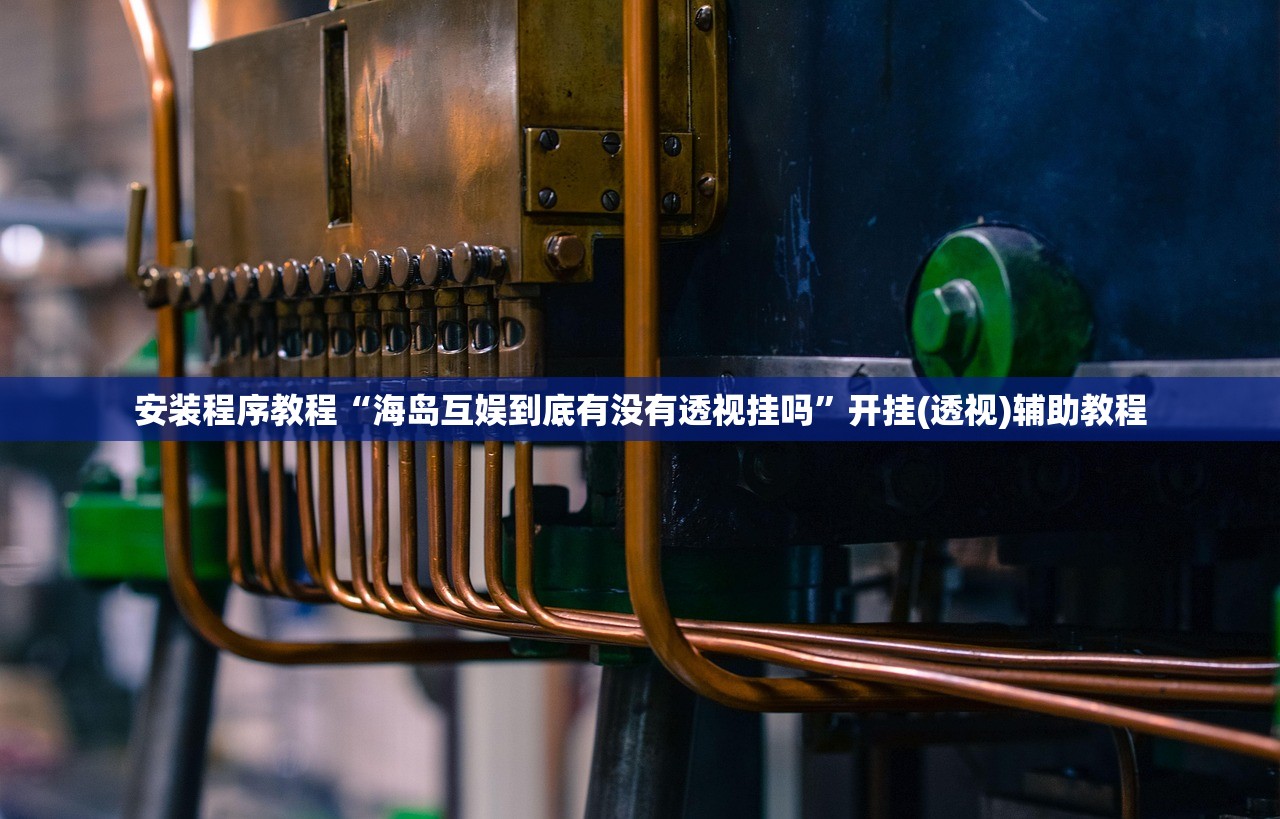安装程序教程“海岛互娱到底有没有透视挂吗”开挂(透视)辅助教程