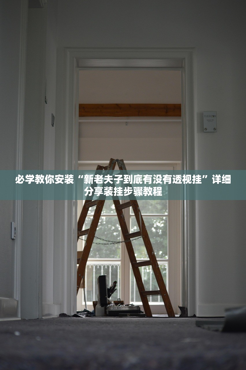 必学教你安装“新老夫子到底有没有透视挂	”详细分享装挂步骤教程