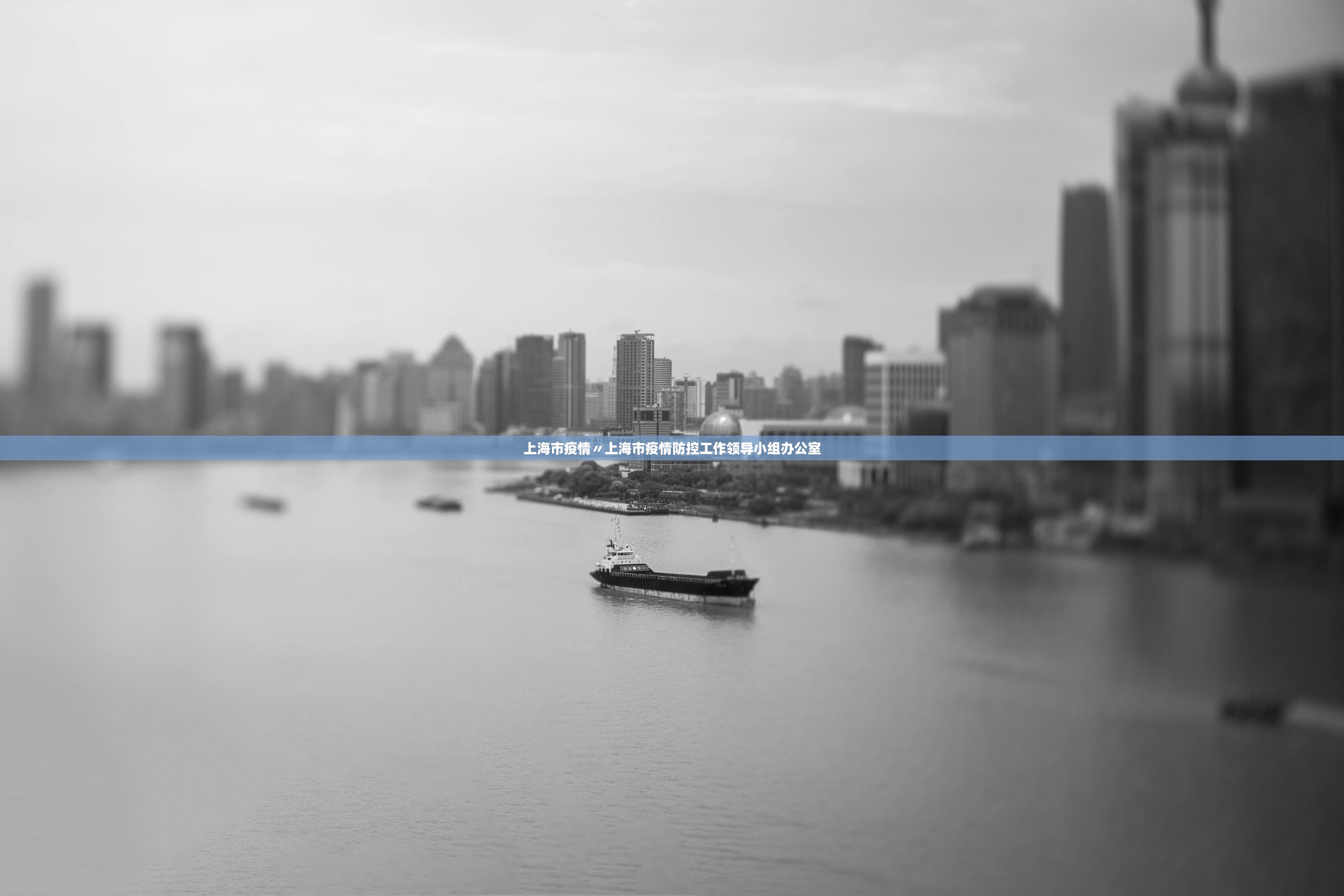 上海市疫情〃上海市疫情防控工作领导小组办公室