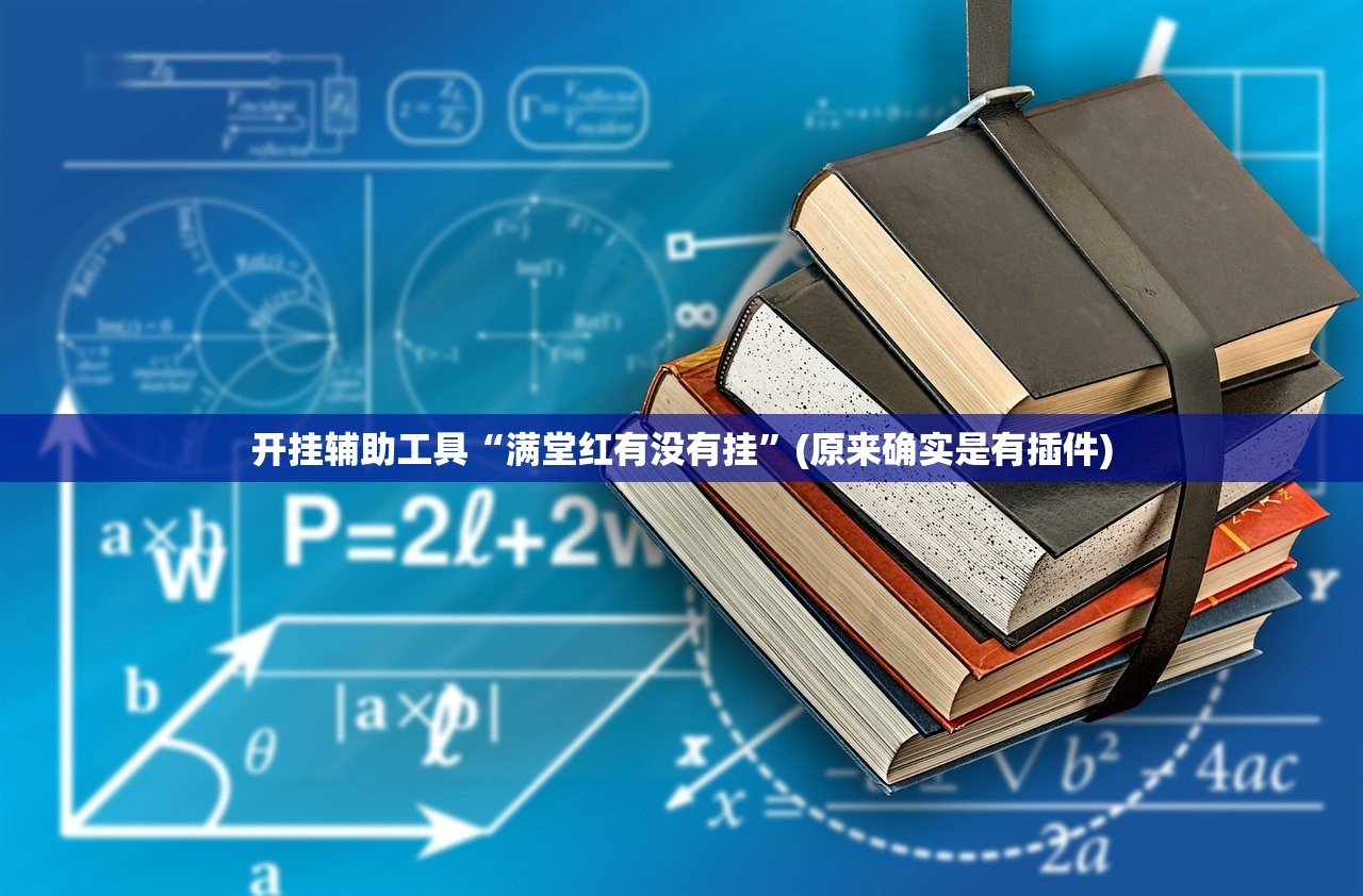 开挂辅助工具“满堂红有没有挂”(原来确实是有插件)