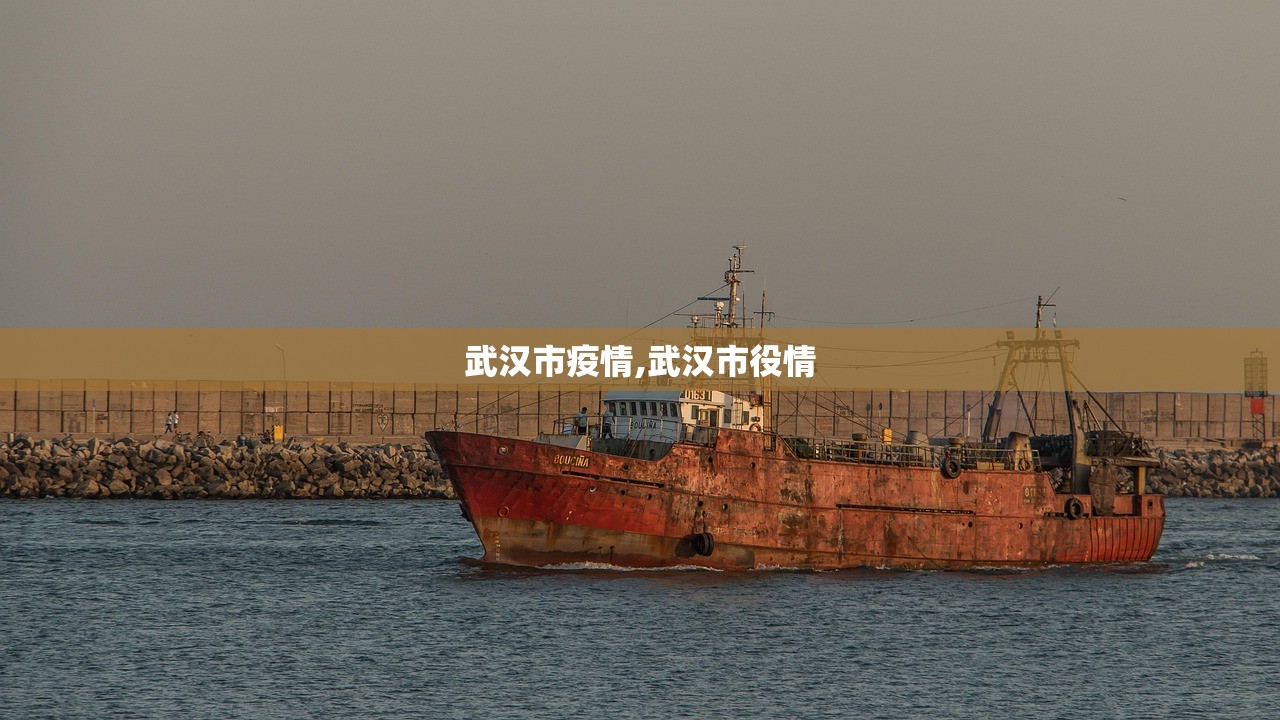 武汉市疫情,武汉市役情