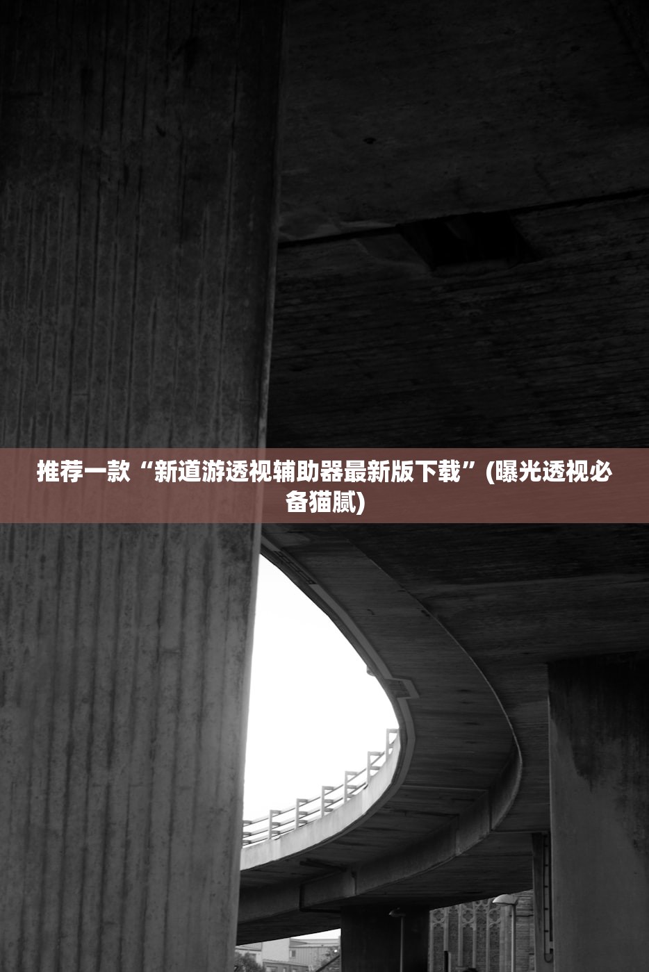 推荐一款“新道游透视辅助器最新版下载”(曝光透视必备猫腻)