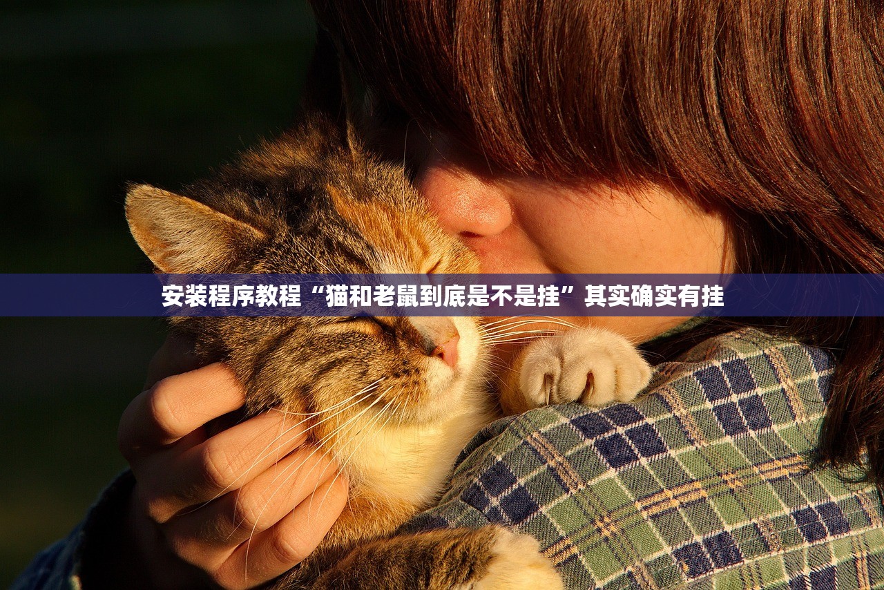安装程序教程“猫和老鼠到底是不是挂”其实确实有挂