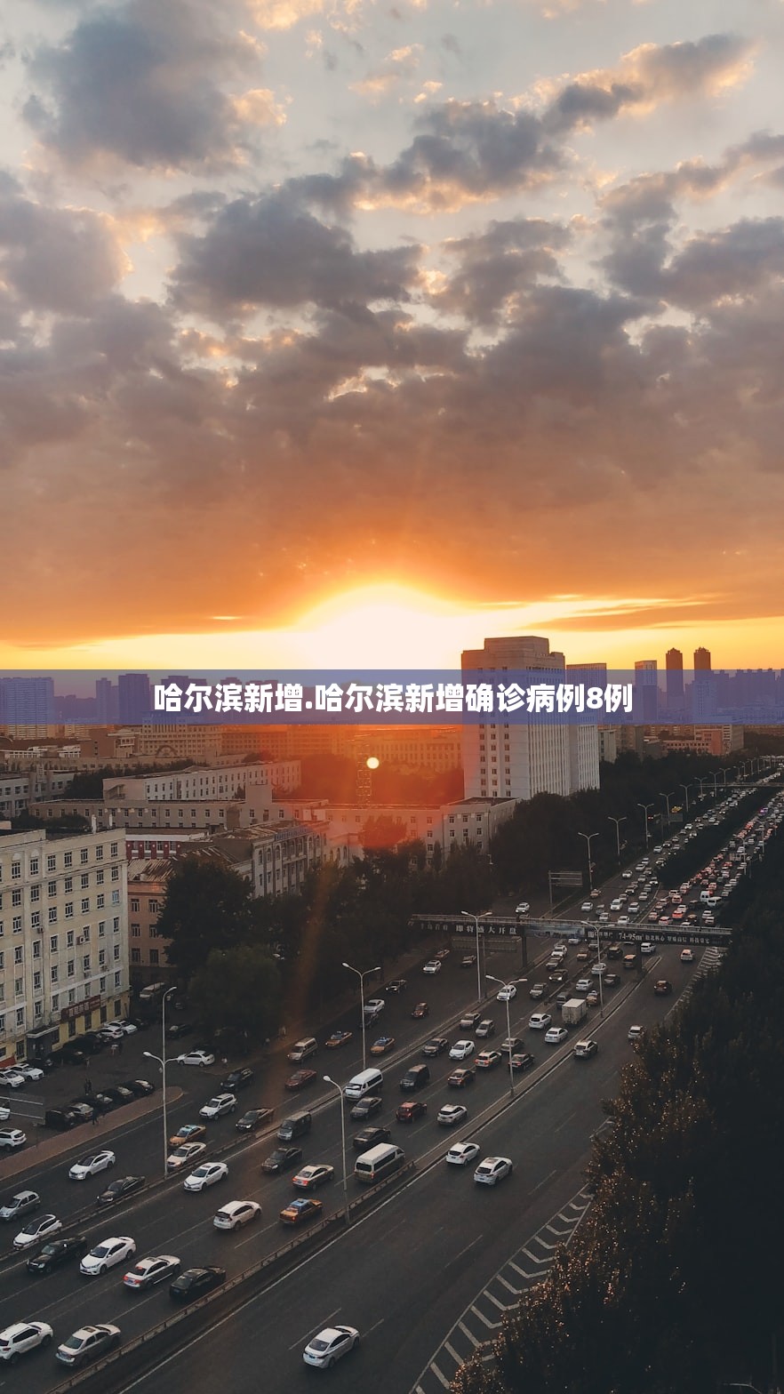 哈尔滨新增.哈尔滨新增确诊病例8例