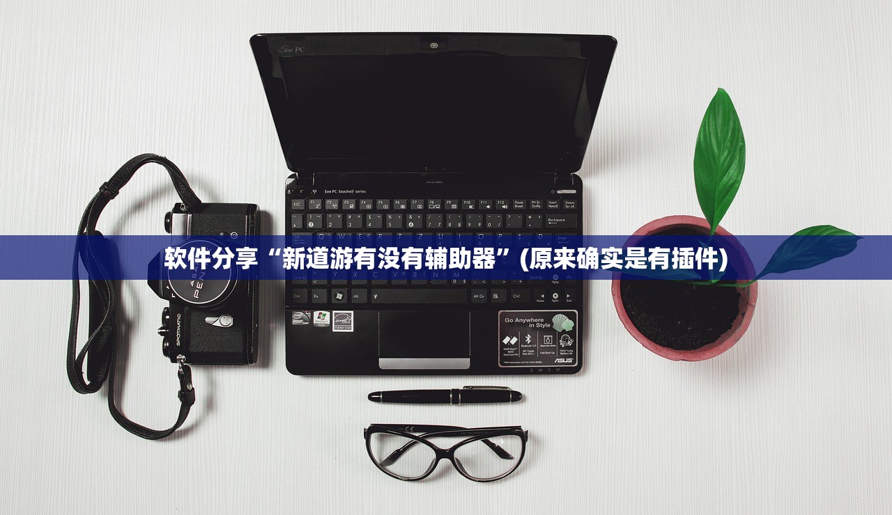 软件分享“新道游有没有辅助器”(原来确实是有插件)