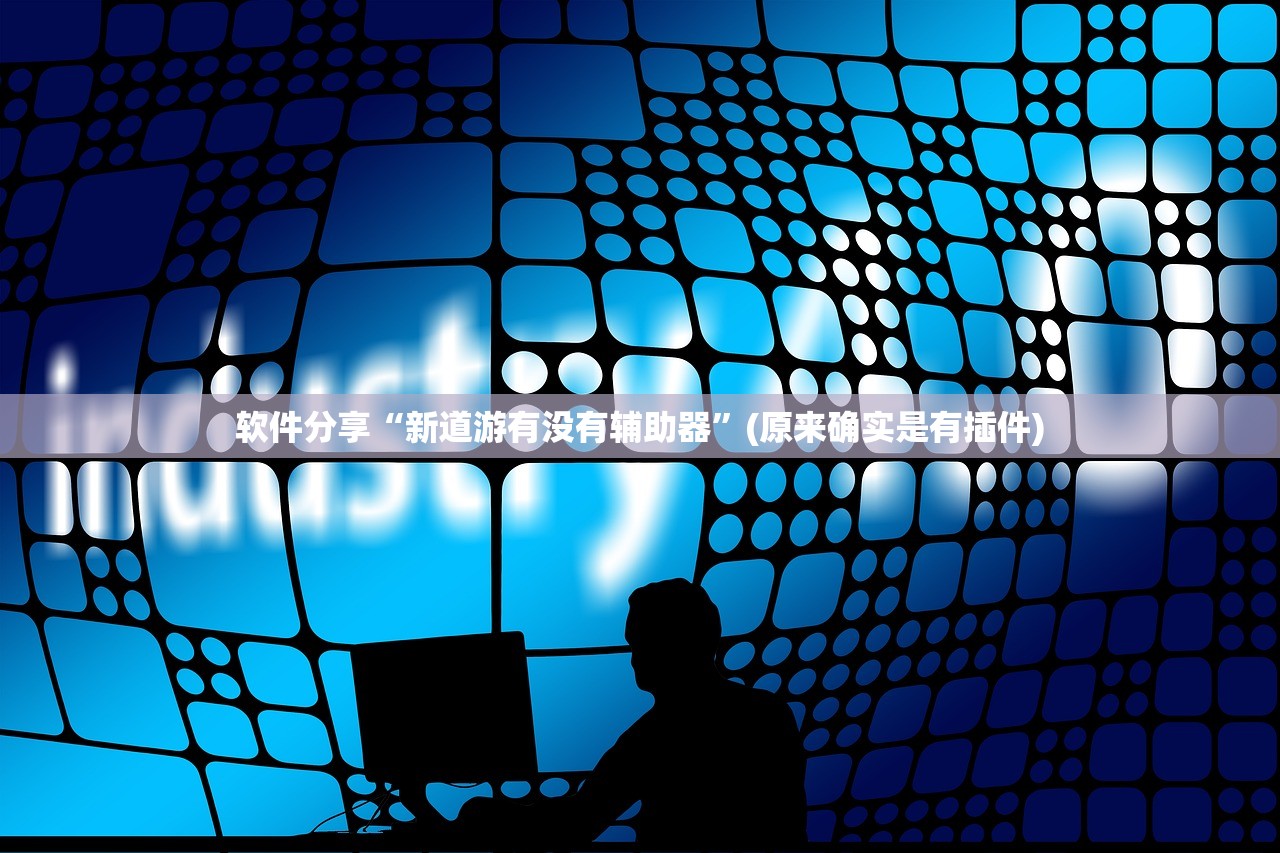 软件分享“新道游有没有辅助器”(原来确实是有插件)