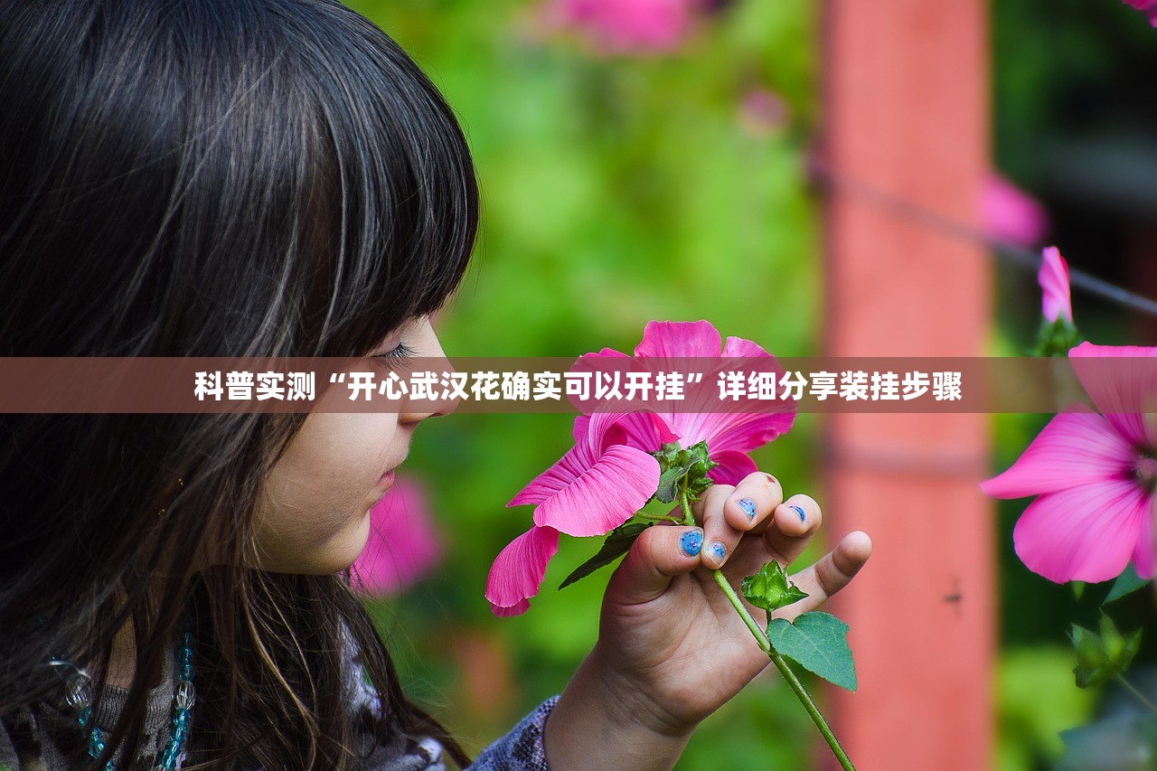 科普实测“开心武汉花确实可以开挂”详细分享装挂步骤