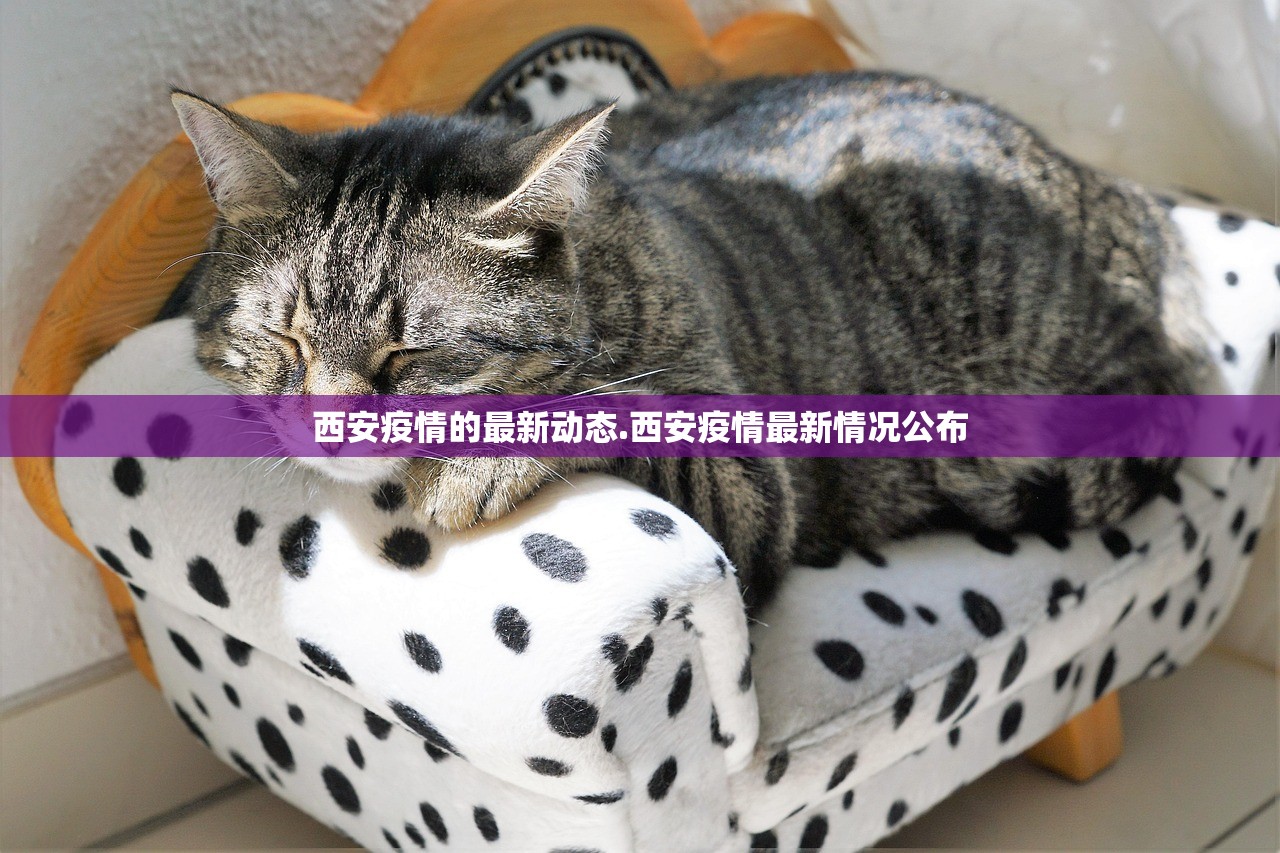 西安疫情的最新动态.西安疫情最新情况公布