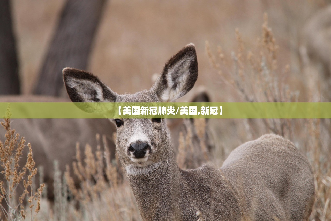 【美国新冠肺炎/美国,新冠】