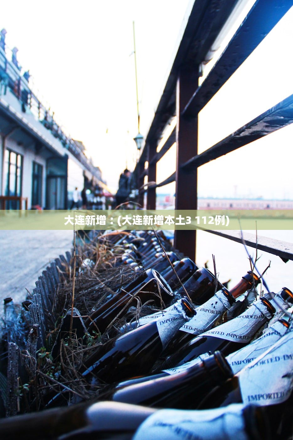 大连新增︰(大连新增本土3 112例)