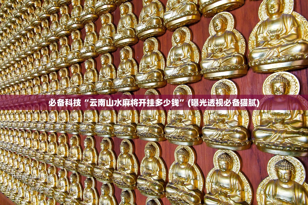 必备科技“云南山水麻将开挂多少钱	”(曝光透视必备猫腻)