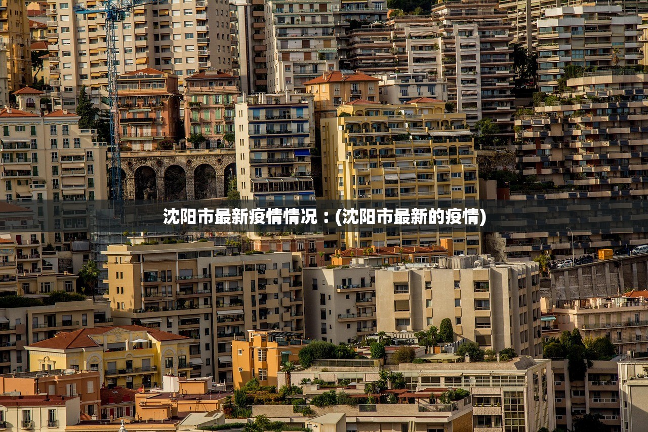 沈阳市最新疫情情况︰(沈阳市最新的疫情)