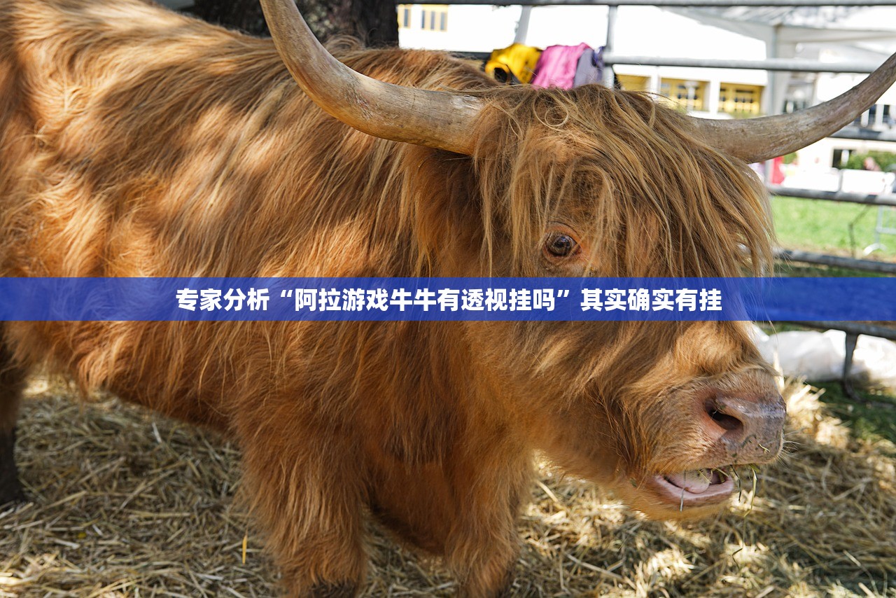 专家分析“阿拉游戏牛牛有透视挂吗”其实确实有挂