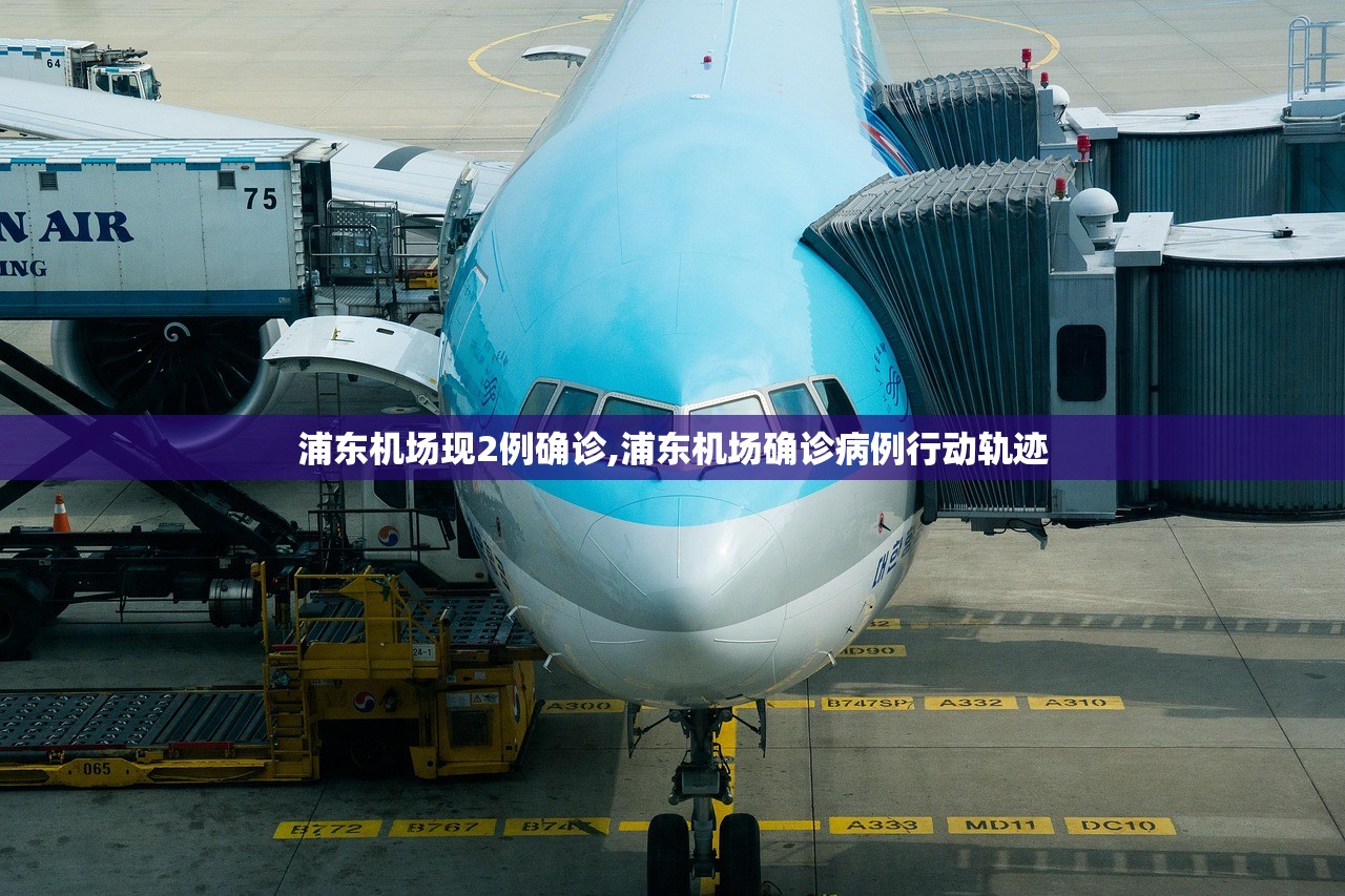 浦东机场现2例确诊,浦东机场确诊病例行动轨迹