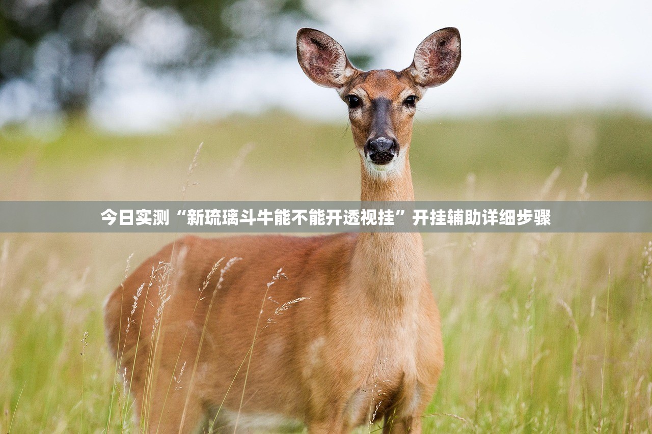 今日实测“新琉璃斗牛能不能开透视挂”开挂辅助详细步骤