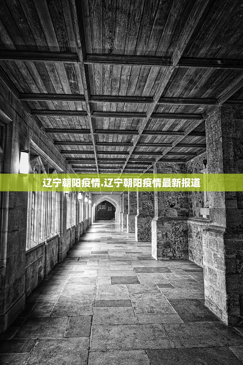 辽宁朝阳疫情.辽宁朝阳疫情最新报道