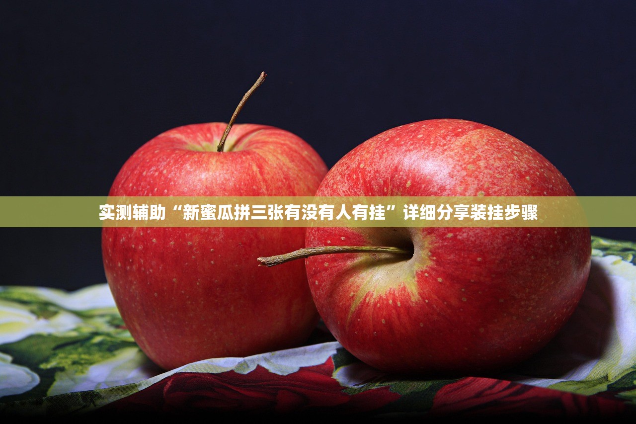 实测辅助“新蜜瓜拼三张有没有人有挂”详细分享装挂步骤