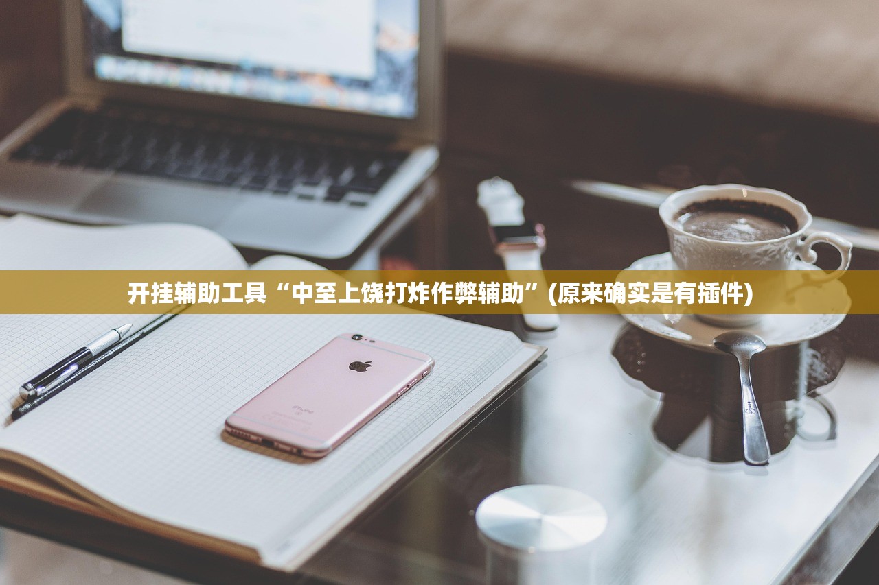 开挂辅助工具“中至上饶打炸作弊辅助”(原来确实是有插件)