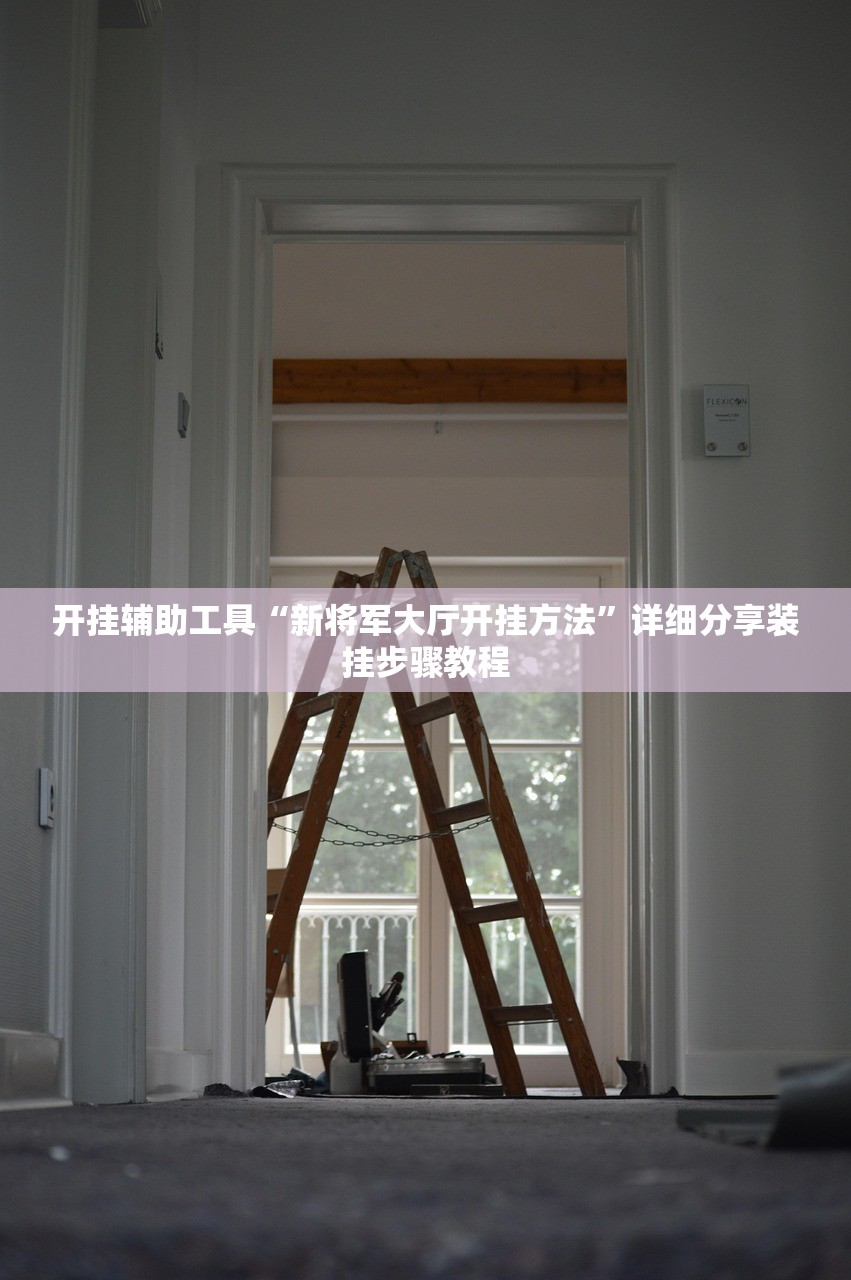开挂辅助工具“新将军大厅开挂方法”详细分享装挂步骤教程