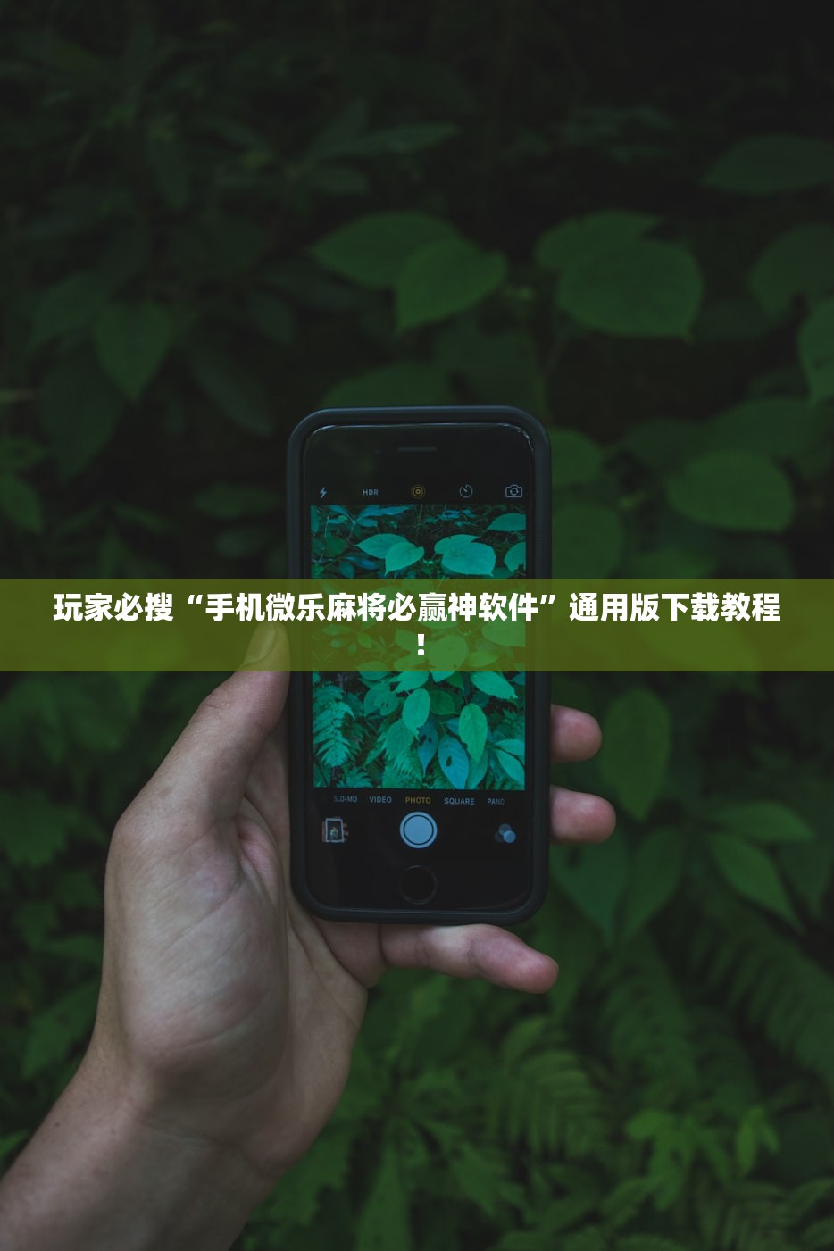 玩家必搜“手机微乐麻将必赢神软件	”通用版下载教程！