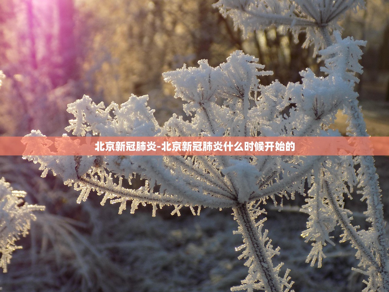 北京新冠肺炎-北京新冠肺炎什么时候开始的