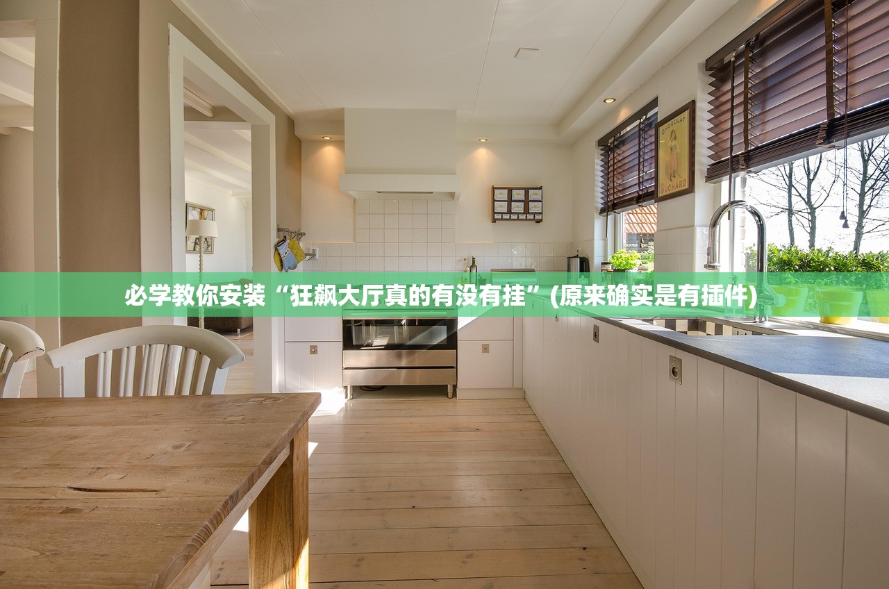 必学教你安装“狂飙大厅真的有没有挂”(原来确实是有插件) 