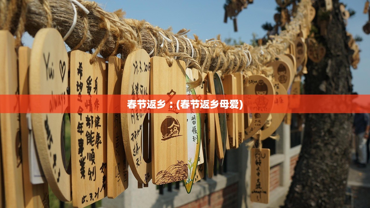 春节返乡︰(春节返乡母爱)