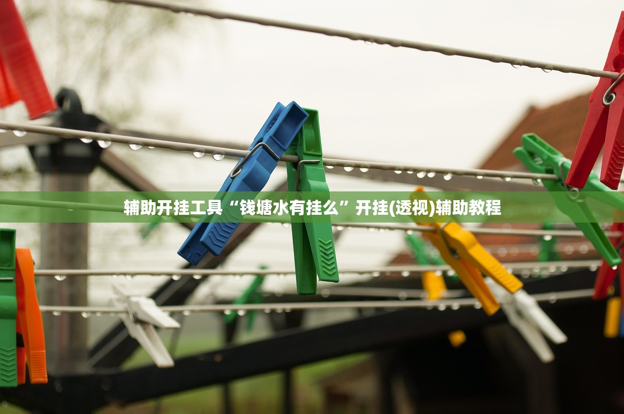 辅助开挂工具“钱塘水有挂么”开挂(透视)辅助教程
