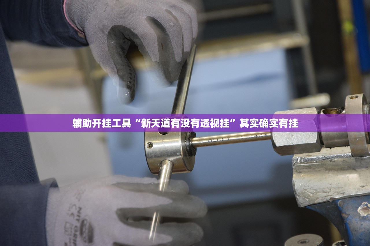 辅助开挂工具“新天道有没有透视挂”其实确实有挂