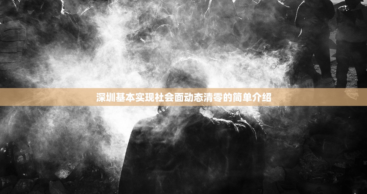 深圳基本实现社会面动态清零的简单介绍