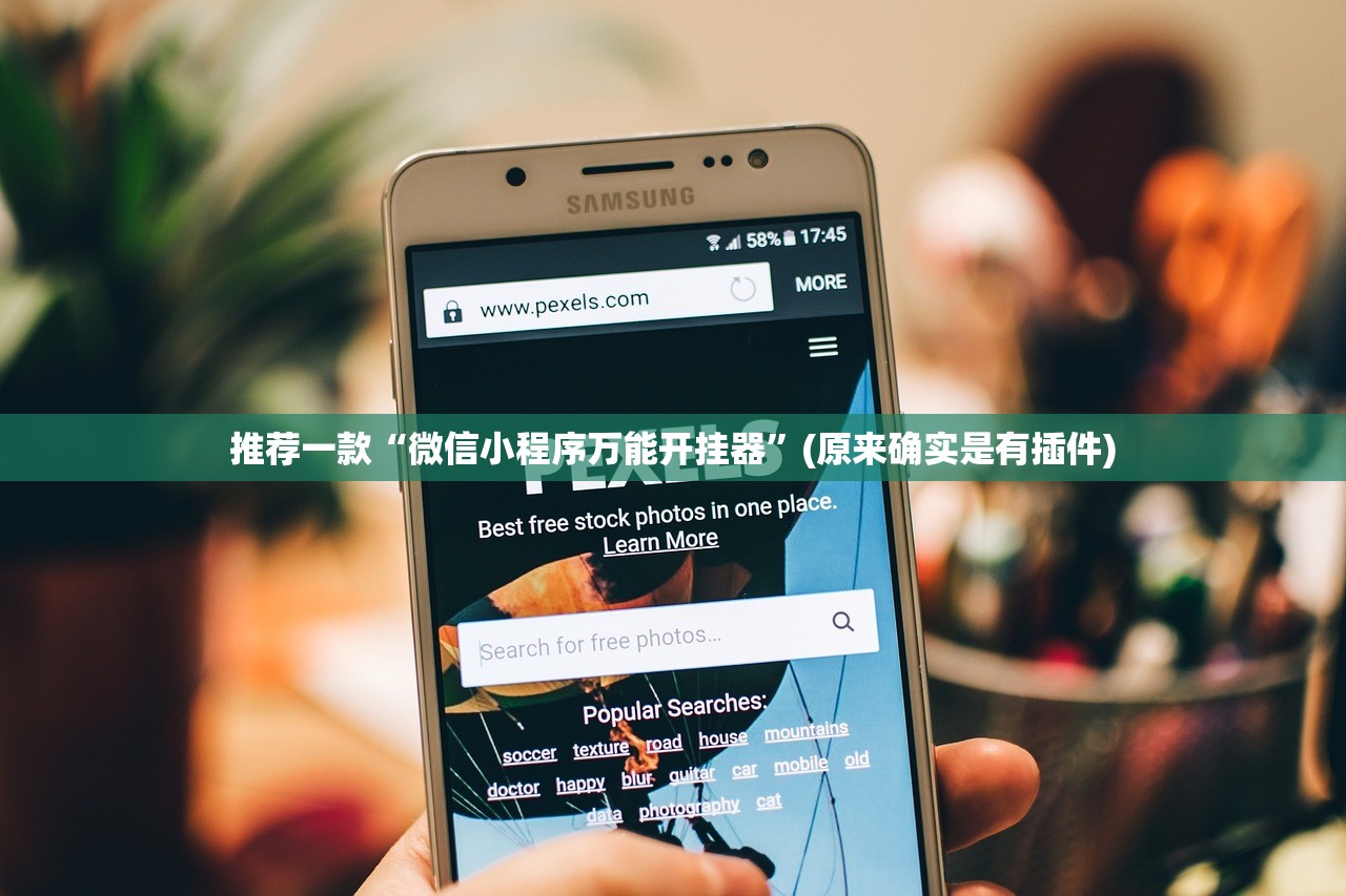 推荐一款“微信小程序万能开挂器	”(原来确实是有插件)