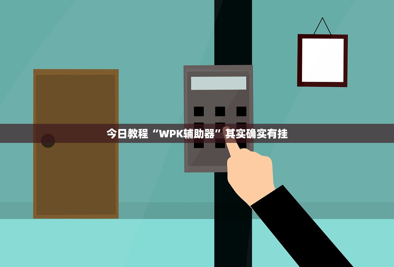 今日教程“WPK辅助器	”其实确实有挂