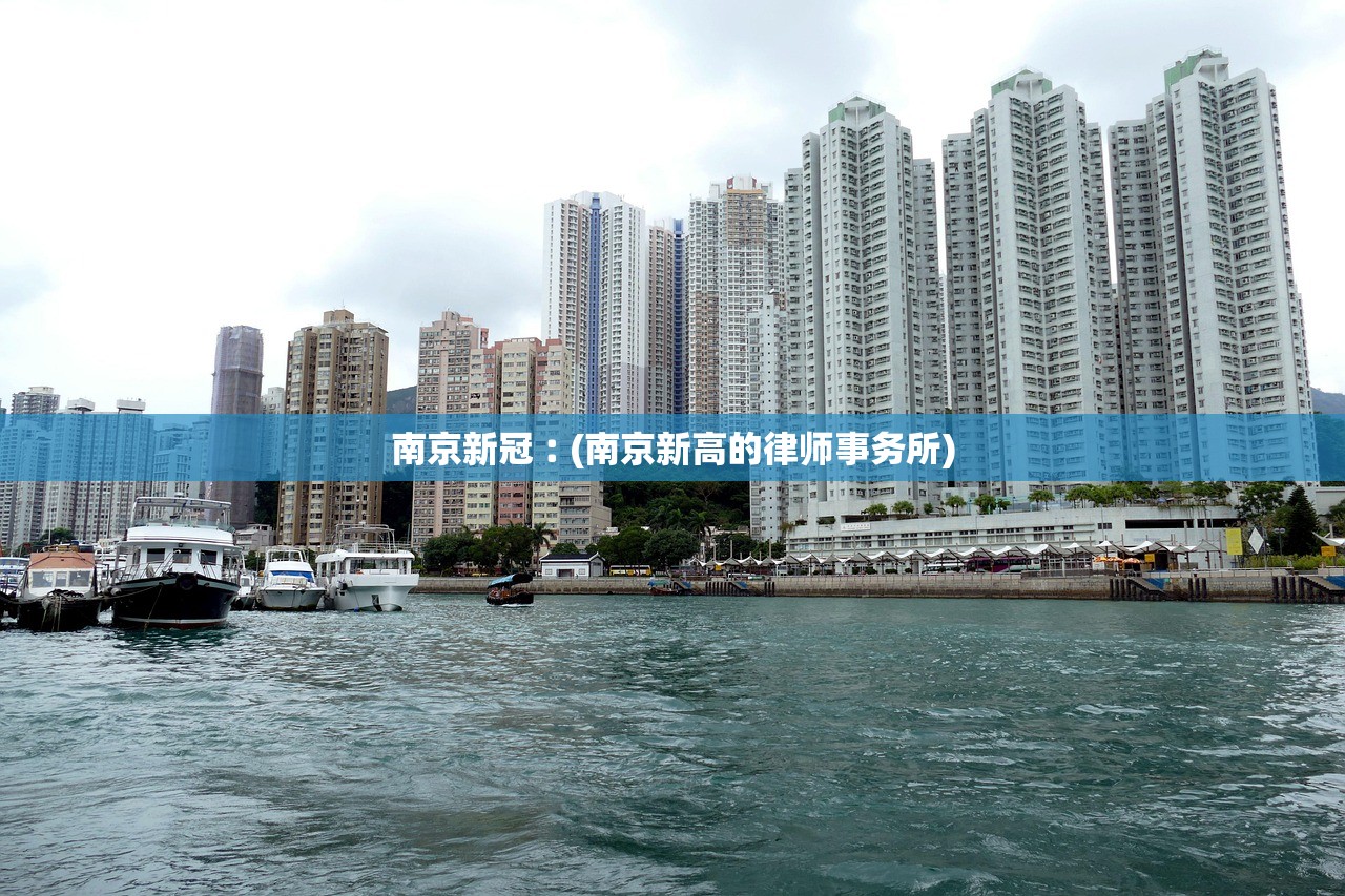 南京新冠︰(南京新高的律师事务所)