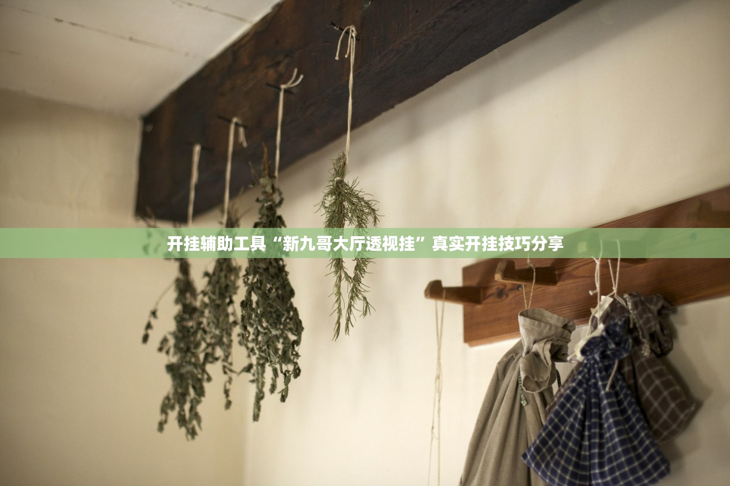 开挂辅助工具“新九哥大厅透视挂”真实开挂技巧分享