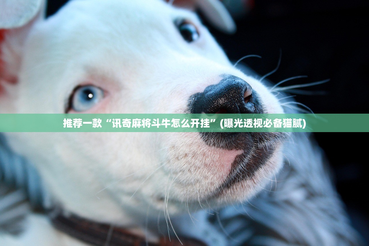 推荐一款“讯奇麻将斗牛怎么开挂	”(曝光透视必备猫腻)