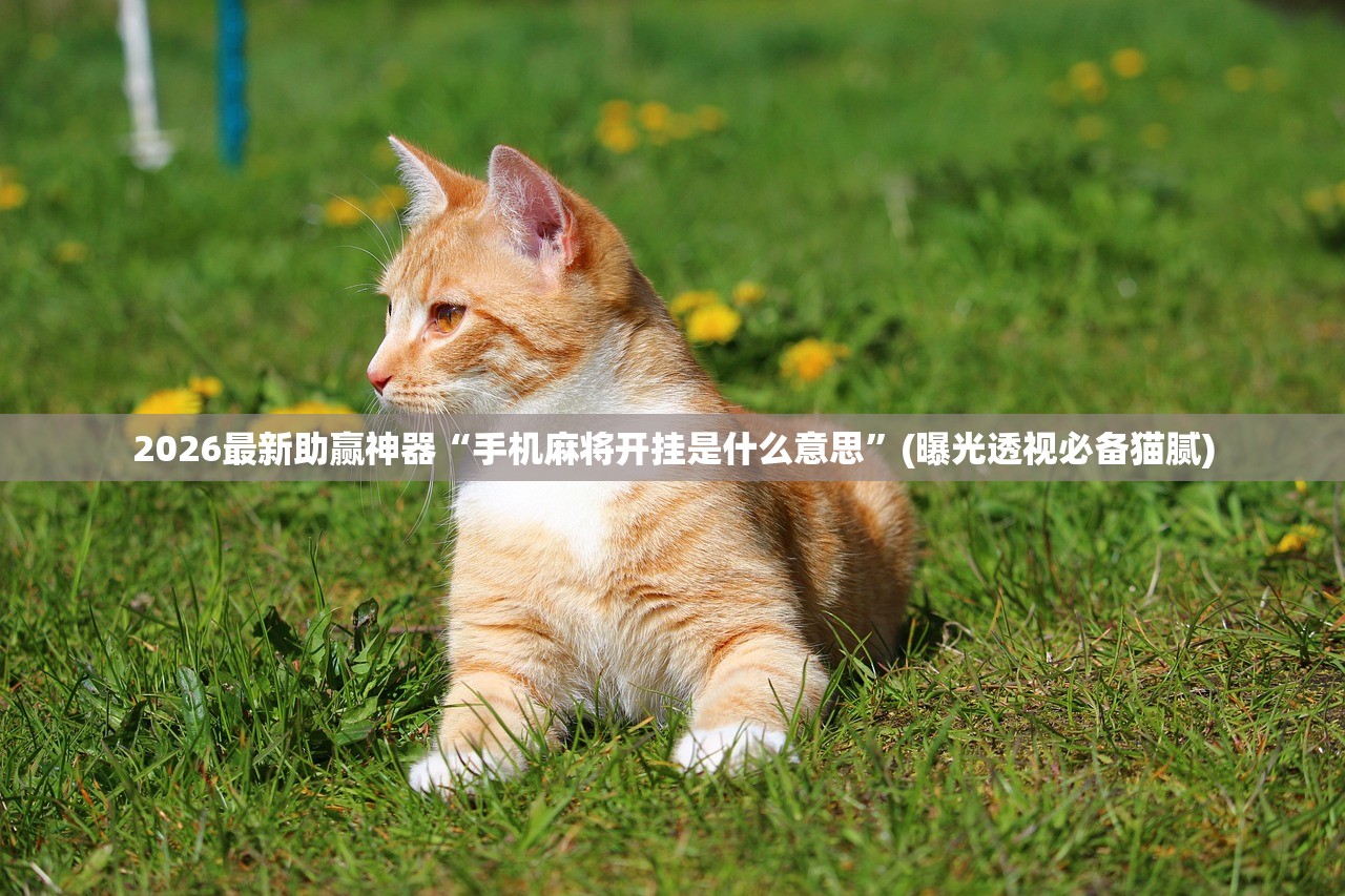 2026最新助赢神器“手机麻将开挂是什么意思”(曝光透视必备猫腻)