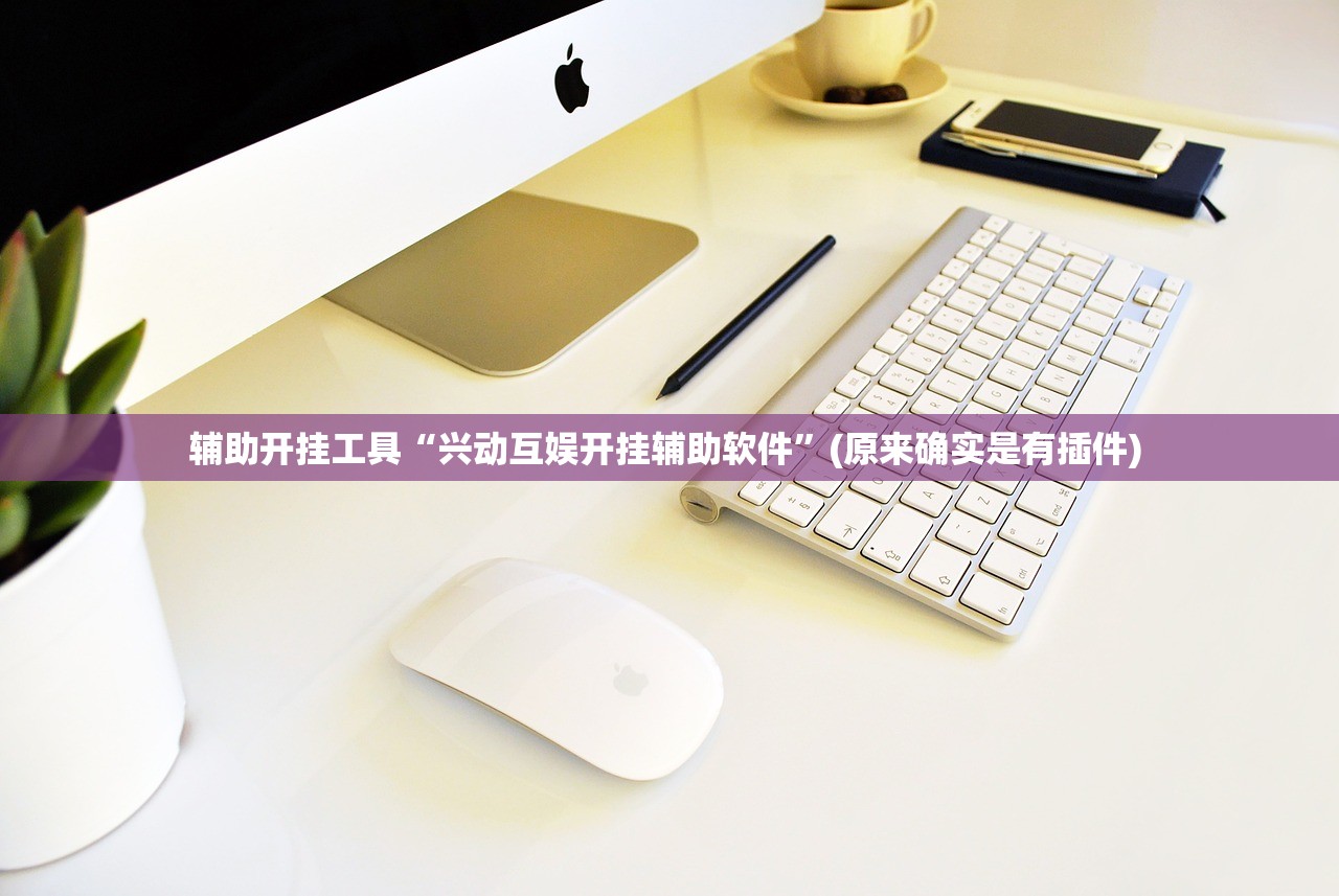 辅助开挂工具“兴动互娱开挂辅助软件”(原来确实是有插件) 
