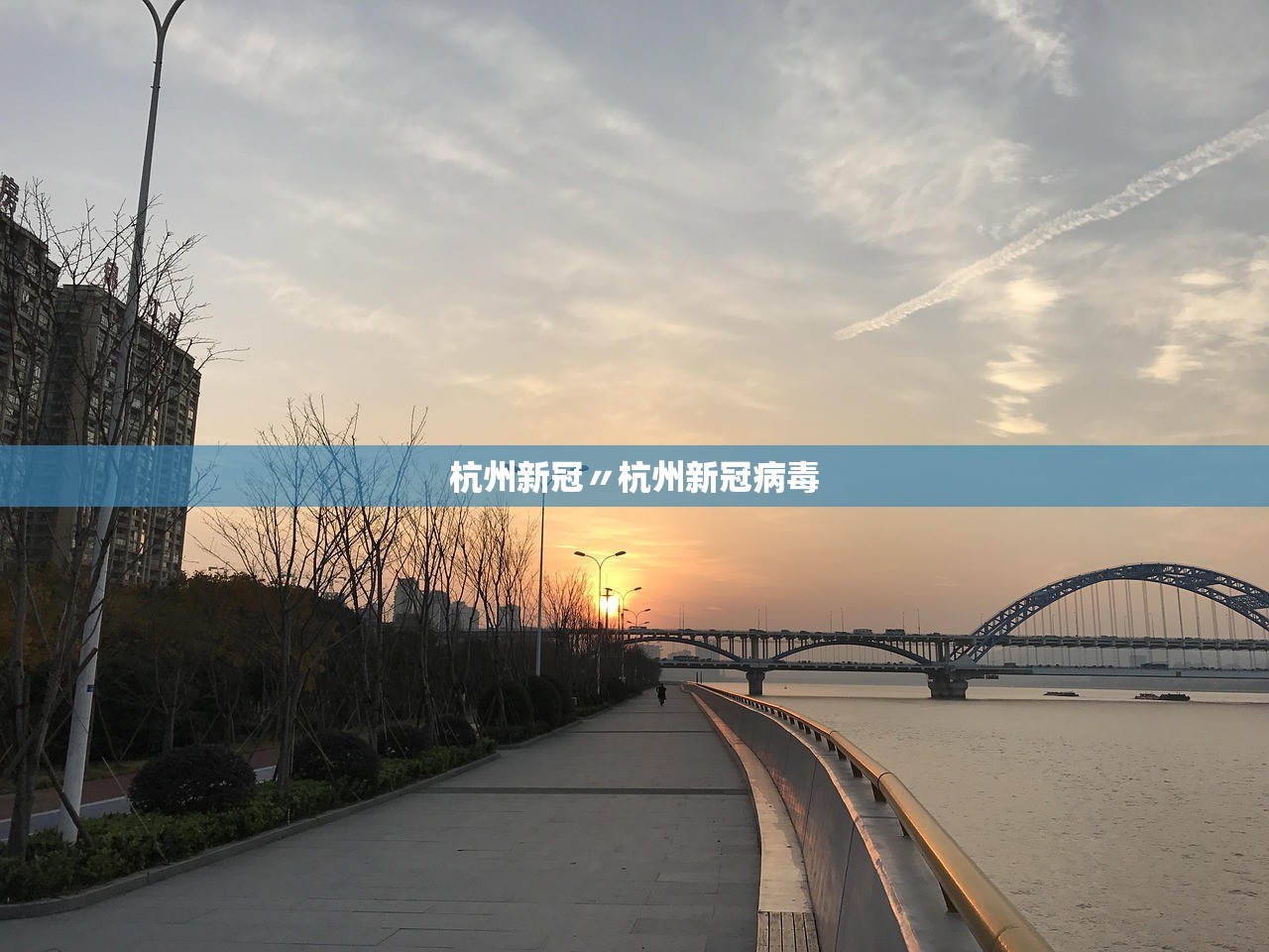 杭州新冠〃杭州新冠病毒