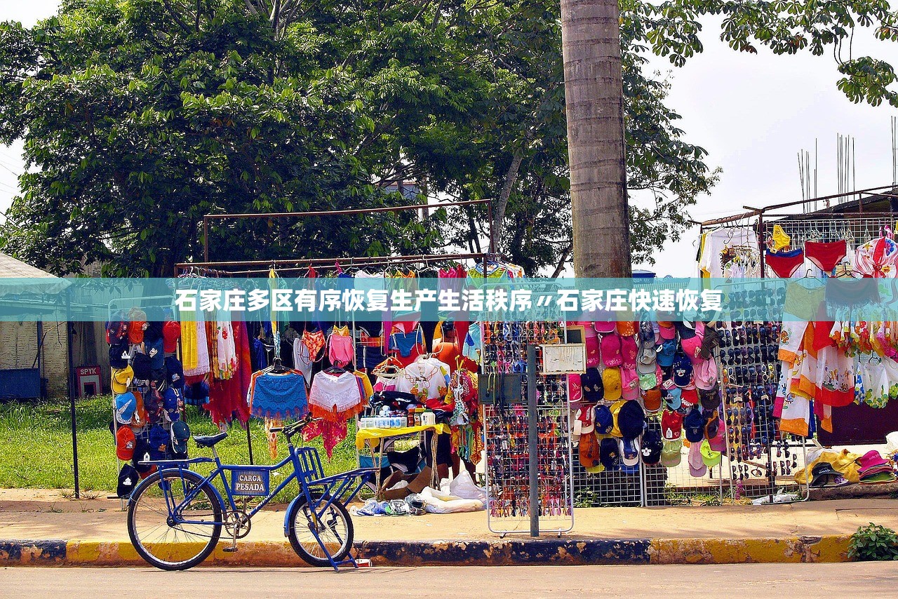 石家庄多区有序恢复生产生活秩序〃石家庄快速恢复