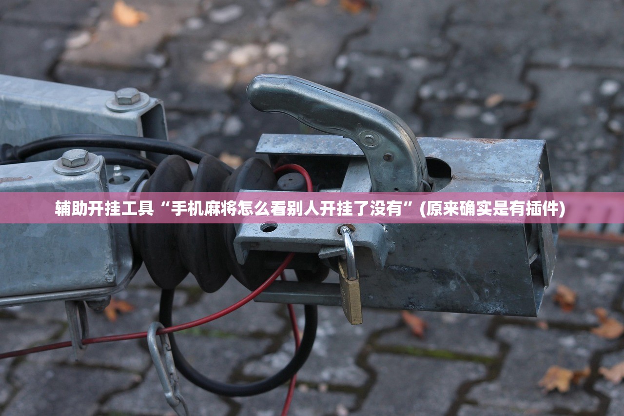 辅助开挂工具“手机麻将怎么看别人开挂了没有”(原来确实是有插件) 