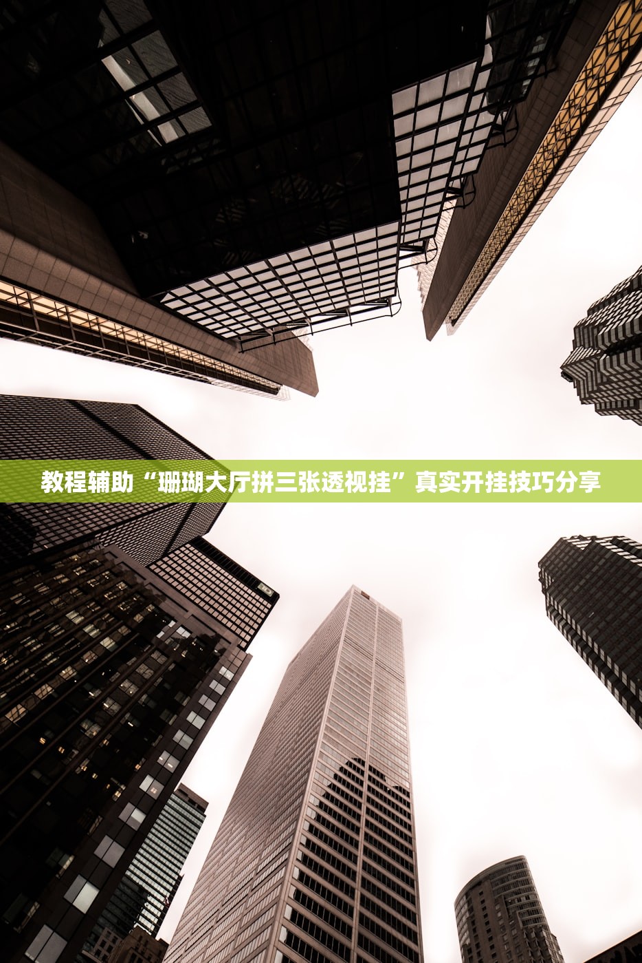 教程辅助“珊瑚大厅拼三张透视挂	”真实开挂技巧分享