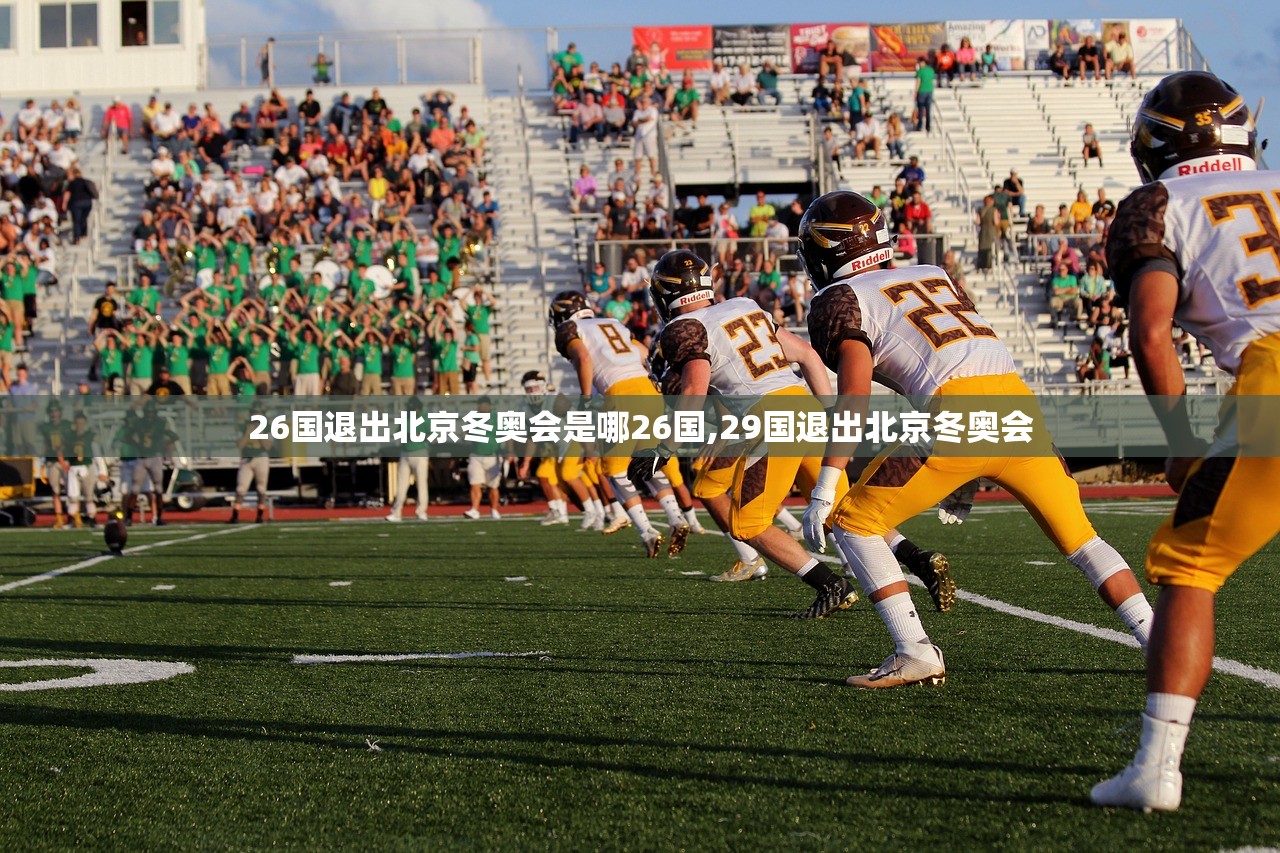 26国退出北京冬奥会是哪26国,29国退出北京冬奥会